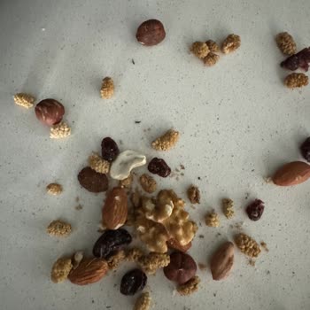 Ege Yükselen Kuruyemiş Mi Böcek Mi?