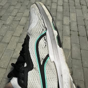 Gene Bir Puma Hayal Kırıklığı