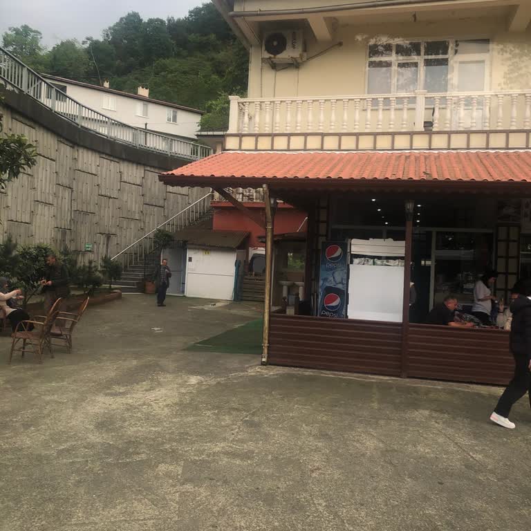 Prenskale Turizm Şoför Arabayı Bıraktı Ve İndi