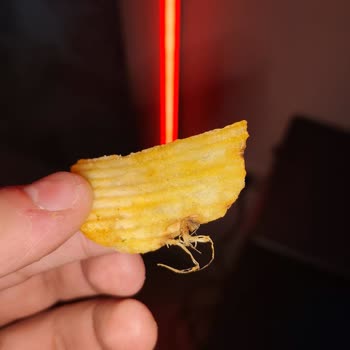 Amigo Cipsten Çıkan Kıl Misali Şey