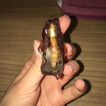 Tuğba Kuruyemiş Paramızla Rezil Olmak Bu Olsa Gerek!?