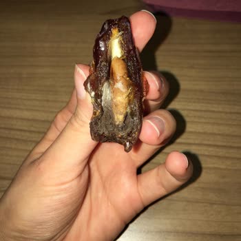 Tuğba Kuruyemiş Paramızla Rezil Olmak Bu Olsa Gerek!?