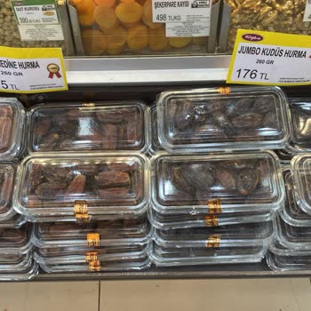 Tuğba Kuruyemiş Paramızla Rezil Olmak Bu Olsa Gerek!?