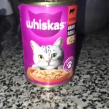 Whiskas Kedi Maması Küflü!