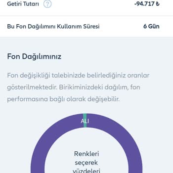 Allianz Yaşam Ve Emeklilik Borsa Fonumda Beklenmedik Düşüş Yaşandı
