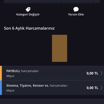 Bubilet Samsun Motive Konseri