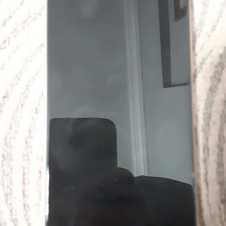 Reeder S23 Pro Max Telefon WhatsApp'da Ses Gitmiyor