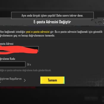 PUBG (Pubgmobile.com) Güvenlik Nedeniyle Hiçbir Şey Değiştiremiyorum