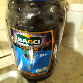 KolayPara Zeytin Aşırı Tuzlu Yenilmiyor