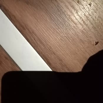Süha Turizm Otobüsü Böcek Ve Tahta Kurusu Dolu