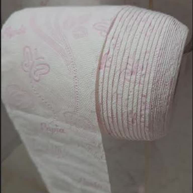 Papia Tuvalet Kağıdı Kullanılmadan Dağıldı