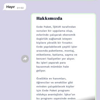 Evde Ek İş