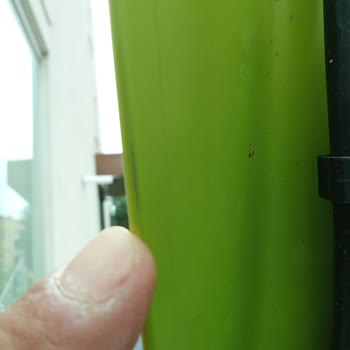 Peugeot Sıfır Ayıplı Araç Teslimi