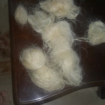 Saç Kaynak Merkezi  Yanıltmacası!