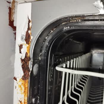 Beko Bulaşık Makinesi Paslandı