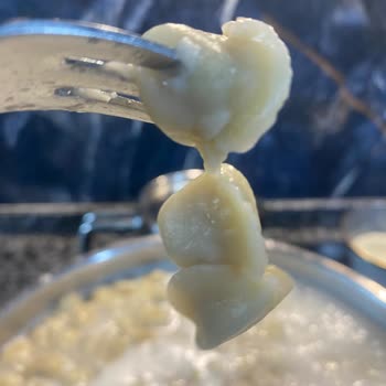 Tazedo Dikkat Kalite Aranıyor Lütfen Rahatsız Etmeyin.