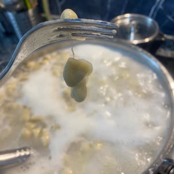 Tazedo Dikkat Kalite Aranıyor Lütfen Rahatsız Etmeyin.