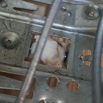 Arçelik 2172 Jeb Derin Dondurucu En Üst Rafı Düzgün Dondurmama Sorunu