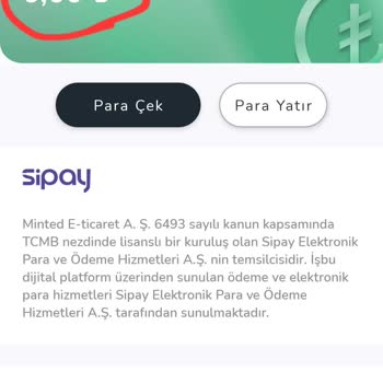 Minted Da Param Buharlaştı! Hiçbir Şekilde Dönüş Alamıyorum