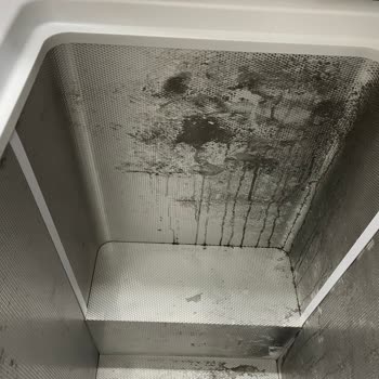 Altus Derin Dondurucu 1 Yıl Gibi Kısa Bir Sürede İç Kısmı Deforme Oldu