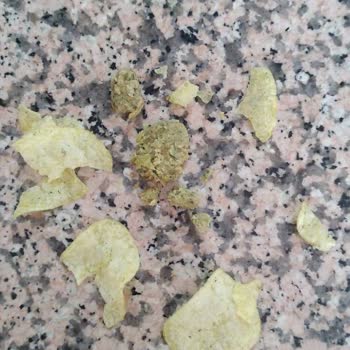 Lays Paketinde Şaşırtıcı İçerik: Beklenmedik Misafirler