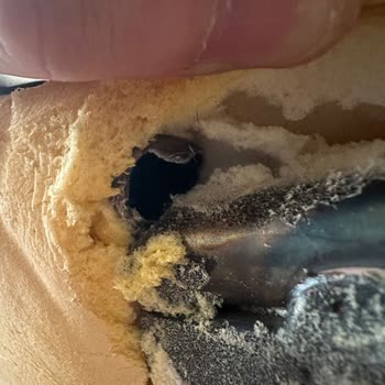 Exvega Andromedia Oturak Kısmı Demir Profil Kırıldı.