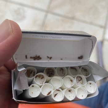 Parliament Sigara Sarımı Gevşek Tütünler Dökülüyor