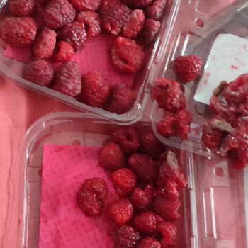 File Market Ürünüm Bozuk Ve Eksik Teslim Edildi