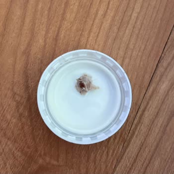 Bilinmeyen Madde Altınkılıç Kefir İçinde