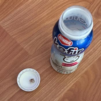 Bilinmeyen Madde Altınkılıç Kefir İçinde