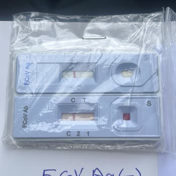 Universal Fatih Hayvan Hastanesi'nde Yaşanan Tedavi Sorunu