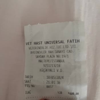 Universal Fatih Hayvan Hastanesi'nde Yaşanan Tedavi Sorunu