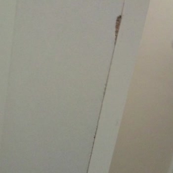 Bagax Dresuar Kalitesizliği