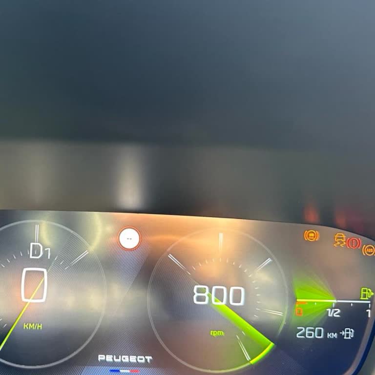 Peugeot 408 Güvenlik Arızası