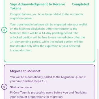 Pi Network Kyc 9. Madde Sıkıntısı