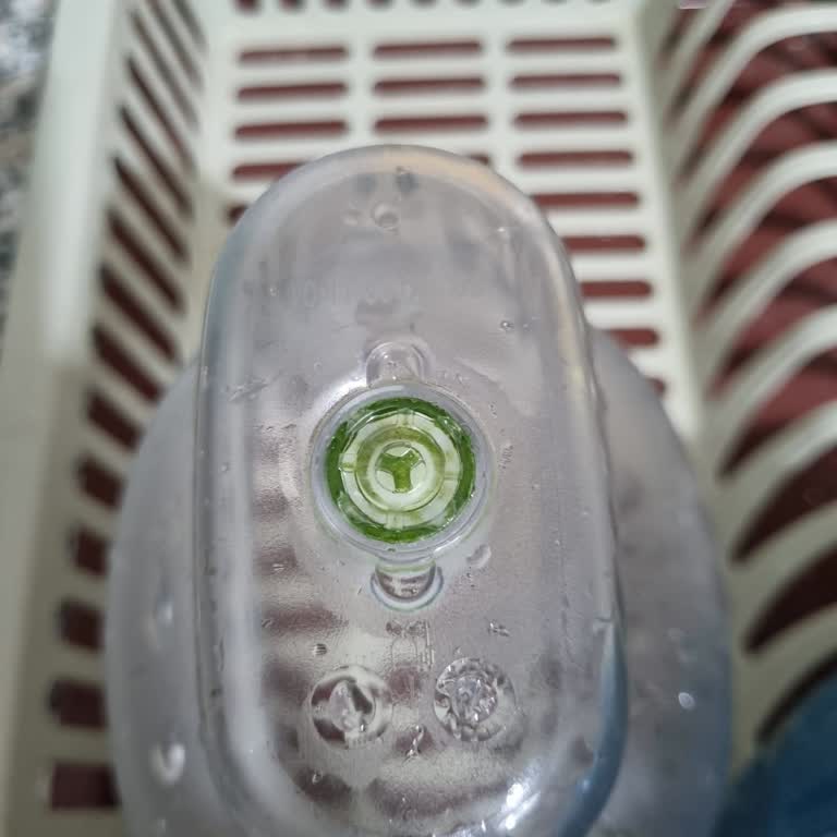 Brita Parçası Yosun Tuttu
