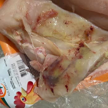 Bupiliç Hastalıklı Tavuk Göğüsü