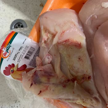 Bupiliç Hastalıklı Tavuk Göğüsü