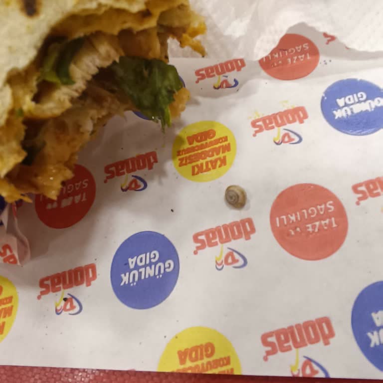 Donas Dürümümün İçinden Salyangoz Çıktı