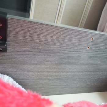 Doğtaş Hatalı Montaj Sorunu