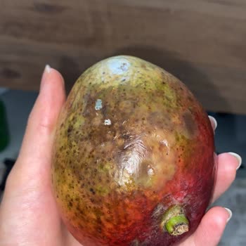 Migros Sanal Market Çürük Meyve Sebze