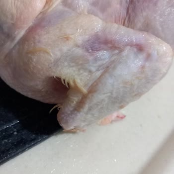 BİM Tavuğu Temizleyen Tazem Markaya Teşekkür Dilekleri