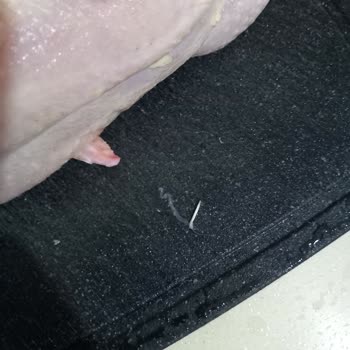 BİM Tavuğu Temizleyen Tazem Markaya Teşekkür Dilekleri