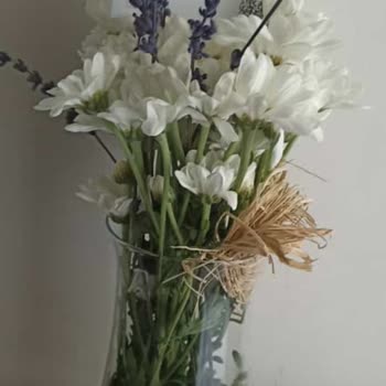 Çiçek Sepeti Denizli Şikayet