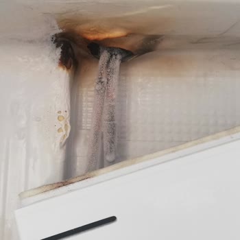 Samsung Buzdolabı Yanık Lekeleri