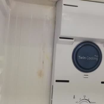 Samsung Buzdolabı Yanık Lekeleri