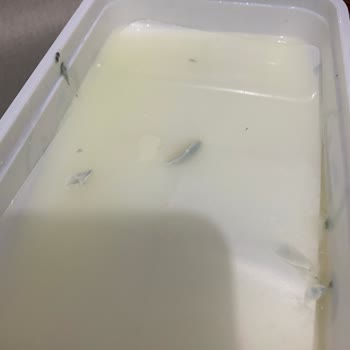 Pınar Et ve Süt Marketten Alınan Peynir Ürününde Yaşanan Sorun