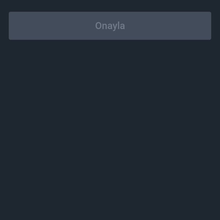 Binance TR Sisteme Giriş Yapamıyorum