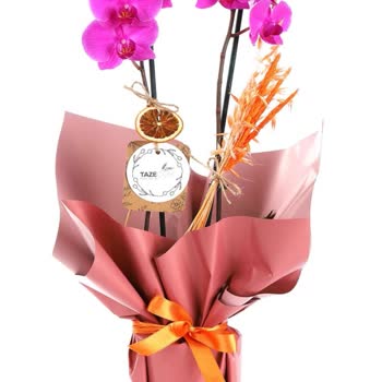 Taze Çiçek (tazecicek.com) Görselle Alakası Olmayan Çiçek