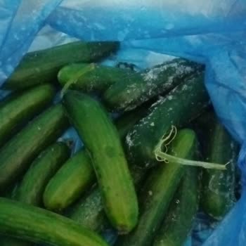 Arızalı Profilo Buzdolabı Sorunu